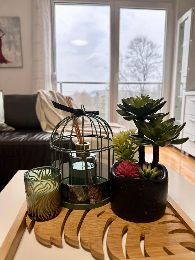 Apartman Floresta - In Front Of Japanese Garden, Enchanting Nature View, Spotless And Cozy Vrnjačka Banja المظهر الخارجي الصورة